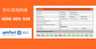 BSCI--报告如何让沃尔玛接受认可